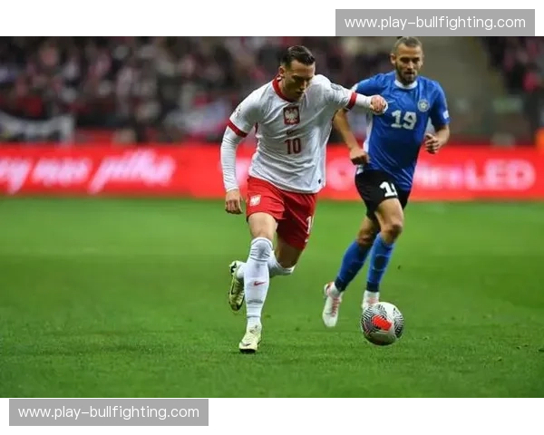 波兰预选赛进攻数据深度分析 普罗别日体系效率问题