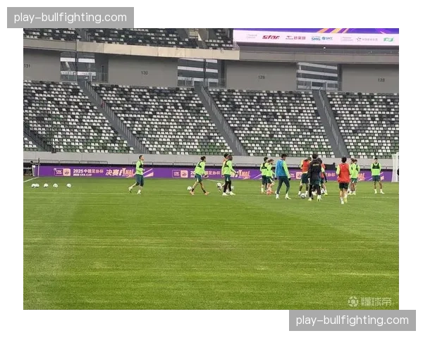 国安主场作战人员齐整 达万回归增强前场进攻组织能力